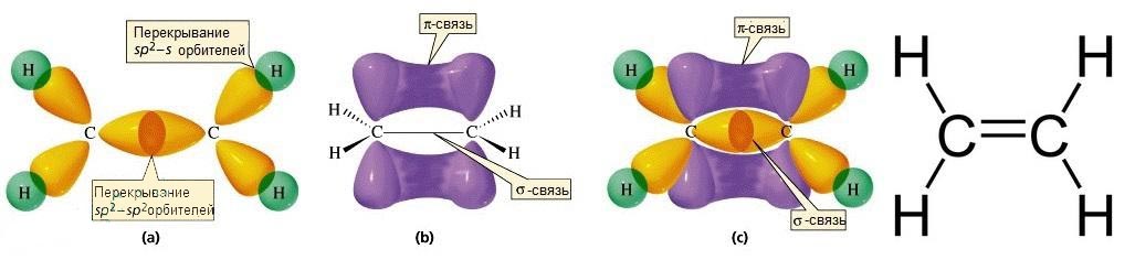Этилен гибридизация атома. Строение молекулы этилена гибридизация. Строение этилена орбитали. Строение молекулы этилена. Sp2 гибридизация молекулы этилена.