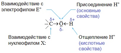 Какие свойства предельных одноатомных спиртов определяются наличием в их молекуле