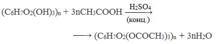 Схема уравнения гидролиза крахмала и целлюлозы