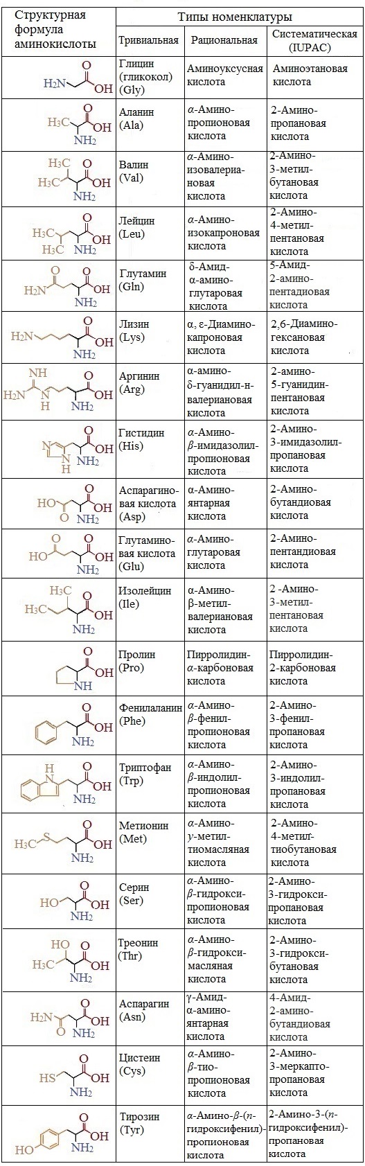 10 формул аминокислот. 20 Альфа аминокислот формулы. 20 Незаменимых аминокислот таблица. Формулы незаменимых аминокислот таблица. 20 Альфа аминокислот таблица.
