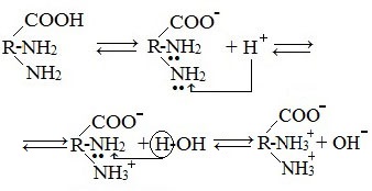 Уравнение реакции аминокислоты с соляной кислотой