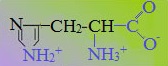 Какая функциональная группа придает аминокислоте кислые свойства