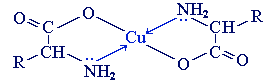 Уравнение реакции аминокислот друг с другом