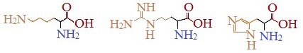 Какая функциональная группа придает аминокислоте кислые свойства