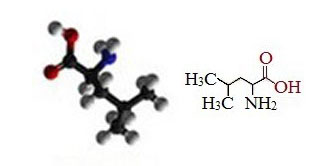 2 метилпентановая кислота формула. 2 Амино 4 метилпентановая кислота формула. 2-Амин-4метилпентановая кислота. Лейцин название по номенклатуре. 2) 2-Амино – 4-метилпентановая кислота.