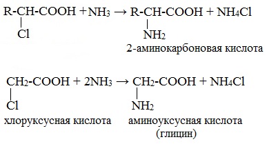 Получили nh3 реакцией. Взаимодействие уксусной кислоты с аммиаком. Получение аминоуксусной кислоты из хлоруксусной. Синтез глицина из хлоруксусной кислоты. Глицин и уксусная кислота.