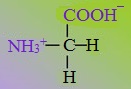 Какие химические свойства характерны для аминокислоты