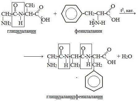 Уравнение реакции образования трипептида из глицина