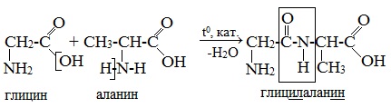 Гидролиз глицилаланина. Структурная формула глицилаланина. Глицилаланин структурная формула. Глицин в глицилаланин. Реакция гидролиза глицилаланина.