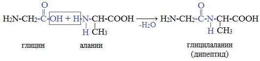 Гидролиз глицилаланина. Глицин в глицилаланин. Глицилаланин структурная формула. Глицил-аланин-лейцин формула.