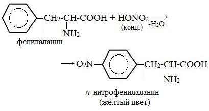 Белки с азотной кислотой. Взаимодействие фенилаланина с азотной кислотой. Ксантопротеиновая реакция фенилаланина. Фенилаланин ксантопротеиновая реакция уравнение. Ксантопротеиновая реакция реакция.