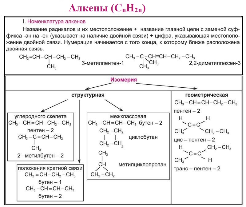 Конспект алкены. Номенклатура органическая химия 10 класс Алкены. Шпаргалка химия 10 класс Алкены. Органическая химия Алкены химические свойства. Алкены химические свойства изомерия.