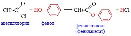Щелочной гидролиз фенола. Фенол плюс ацетилхлорид реакция. Фенол с хлористым ацетилом. Фенол плюс ацетил хлористый. Фенол и ацетилхлорид реакция.